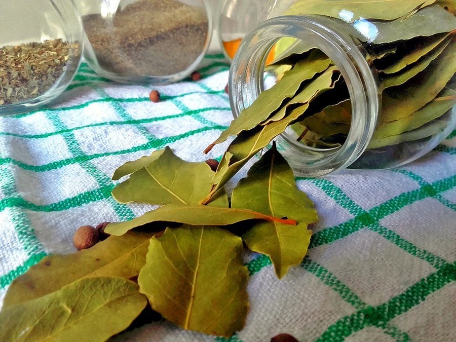 Bay Leaves Benefits[ Laurel Leaves ] | Laurus nobilis | Possible Risks