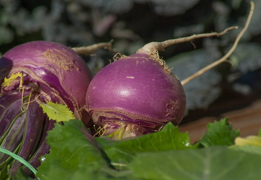 Root Vegetables | Health Benefits