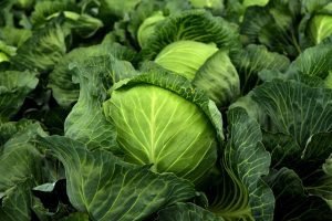 VEGETABLES FOR DIABETIC PATIENTS | Managing Blood Sugar