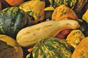 SQUASH | Health Benefits, Healing Properties, Ways to Enjoy It