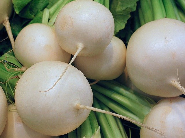 RADISH HEALTH BENEFITS | HEALING PROPERTIES AND WAYS TO ENJOY