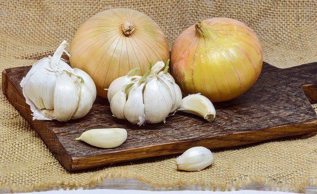 Onions Health Benefits : A Personal Journey of a Backyard Gardener