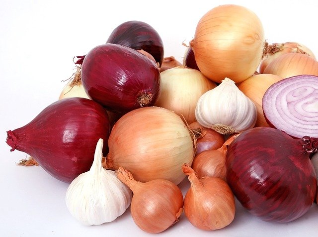 Onions Health Benefits : A Personal Journey of a Backyard Gardener