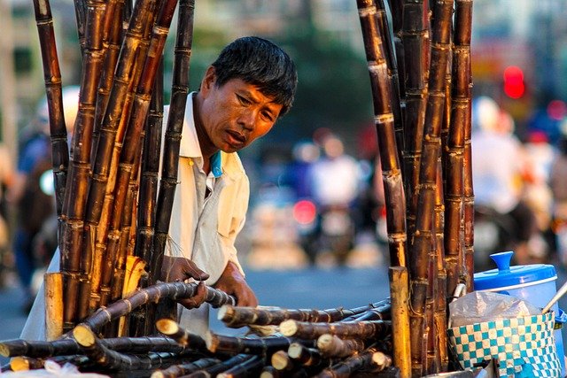 Sugarcane Health Benefits | The Sweet Secret to Wellness