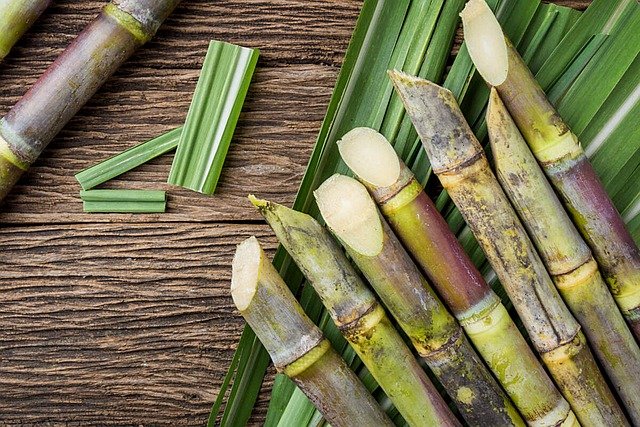 Sugarcane Health Benefits | The Sweet Secret to Wellness