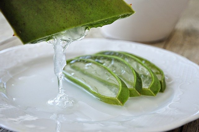 Aloe Vera Benefits : Soothing Secret for Health and Wellness