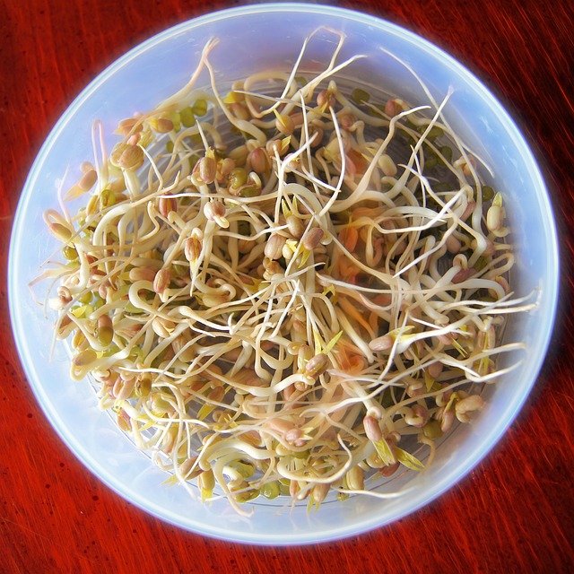 Mung Bean Sprouts Benefits : Nutritional Powerhouse