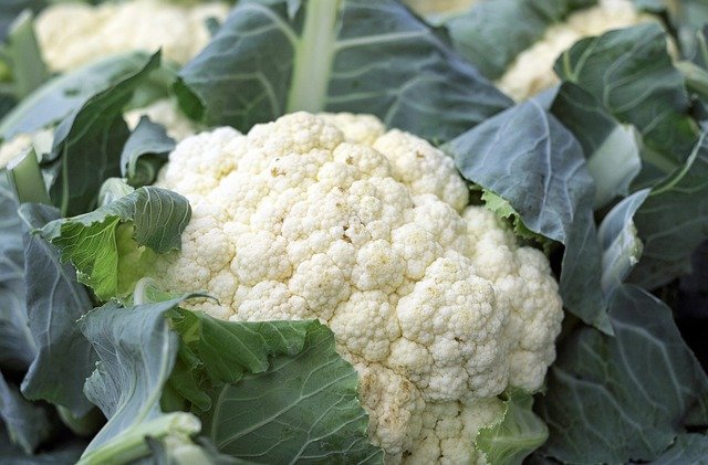 Cauliflower Health Benefits [Brassica Oleracea Var. Botrytis]