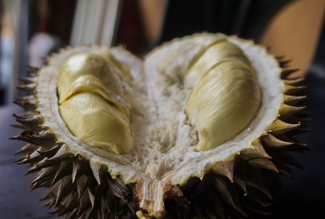 Durian Health Benefits [Durio zibethinus.]