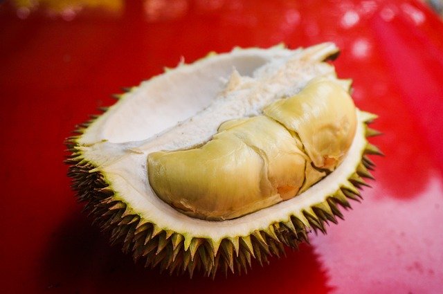 Durian Health Benefits [Durio zibethinus.]