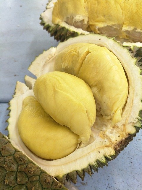 Durian Health Benefits [Durio zibethinus.]