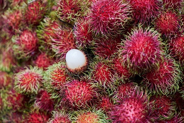 Rambutan Health Benefits [Nephelium lappaceum.] 