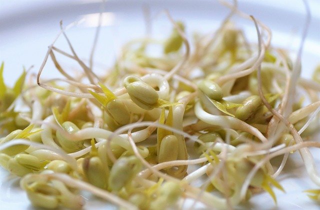 Mung Bean Sprouts Benefits : Nutritional Powerhouse