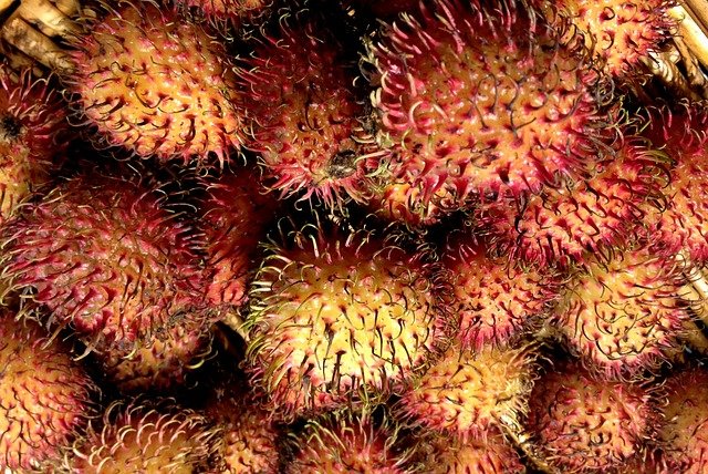 Rambutan Health Benefits [Nephelium lappaceum.] 