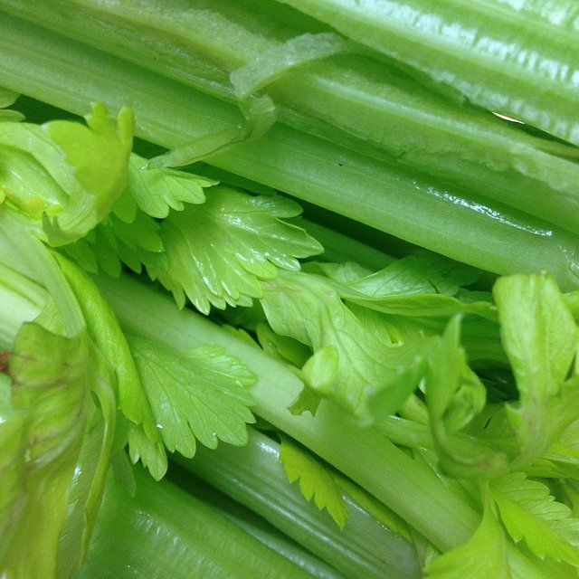 Celery Health Benefits | Home and Garden Bacolod