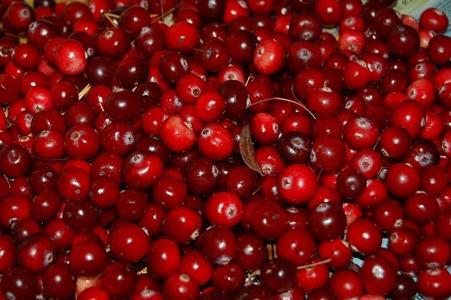 Health Benefits of Cranberries