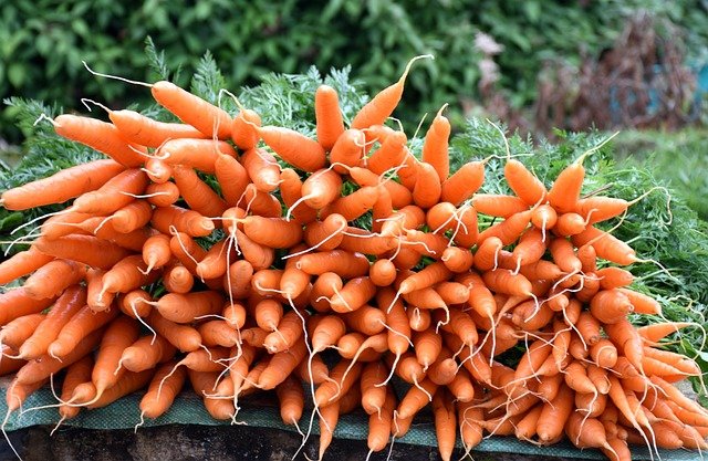  Health Benefits of Carrots