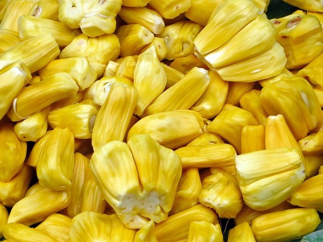 Jackfruit Seeds Benefits and Nutrition