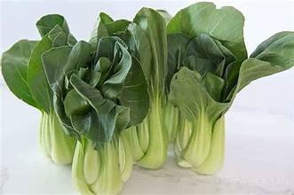 Brassica rapa subsp. chinensis Health Benefits ( Bok Choy )