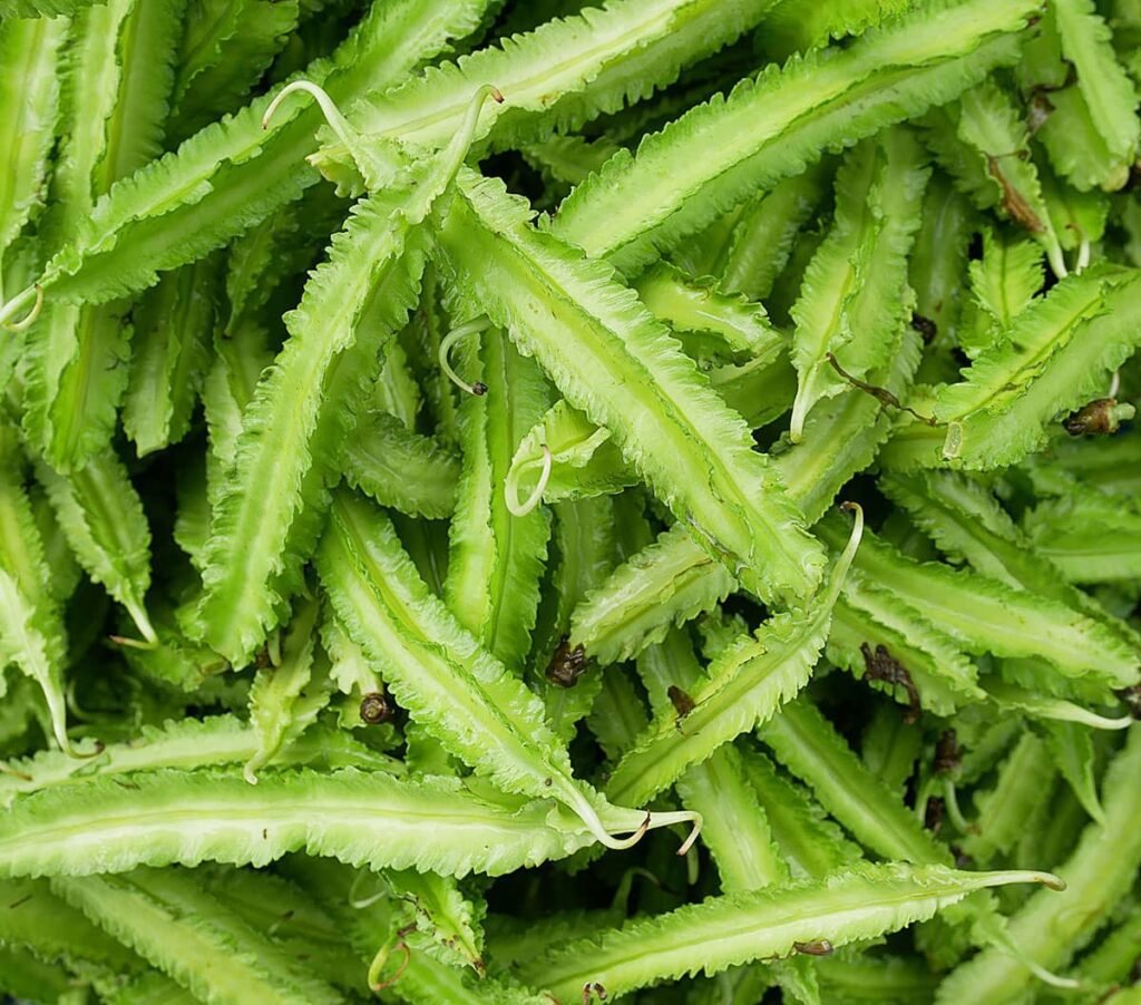 Winged Beans Health Benefits [ Psophocarpus tetragonolobus ]